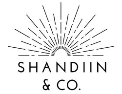 Shandiin & Co.